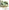 Pintura por números para adultos – Lienzo enmarcado y caballete de madera – Juego completo de pintura al óleo de colores surtidos y accesorios de pincel – Soul Dancer 12 x 16 pulgadas réplica - Arteztik