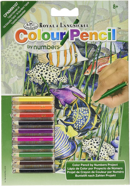 Mini kit de lápiz por número del color 5