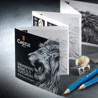 Castle Art Supplies - Juego de 12 lápices de dibujo para adultos y niños y artistas | lápices de grafito con estuche de estaño adicional | Perfecto para iniciar bocetos de sombra o suministros de arte - Arteztik
